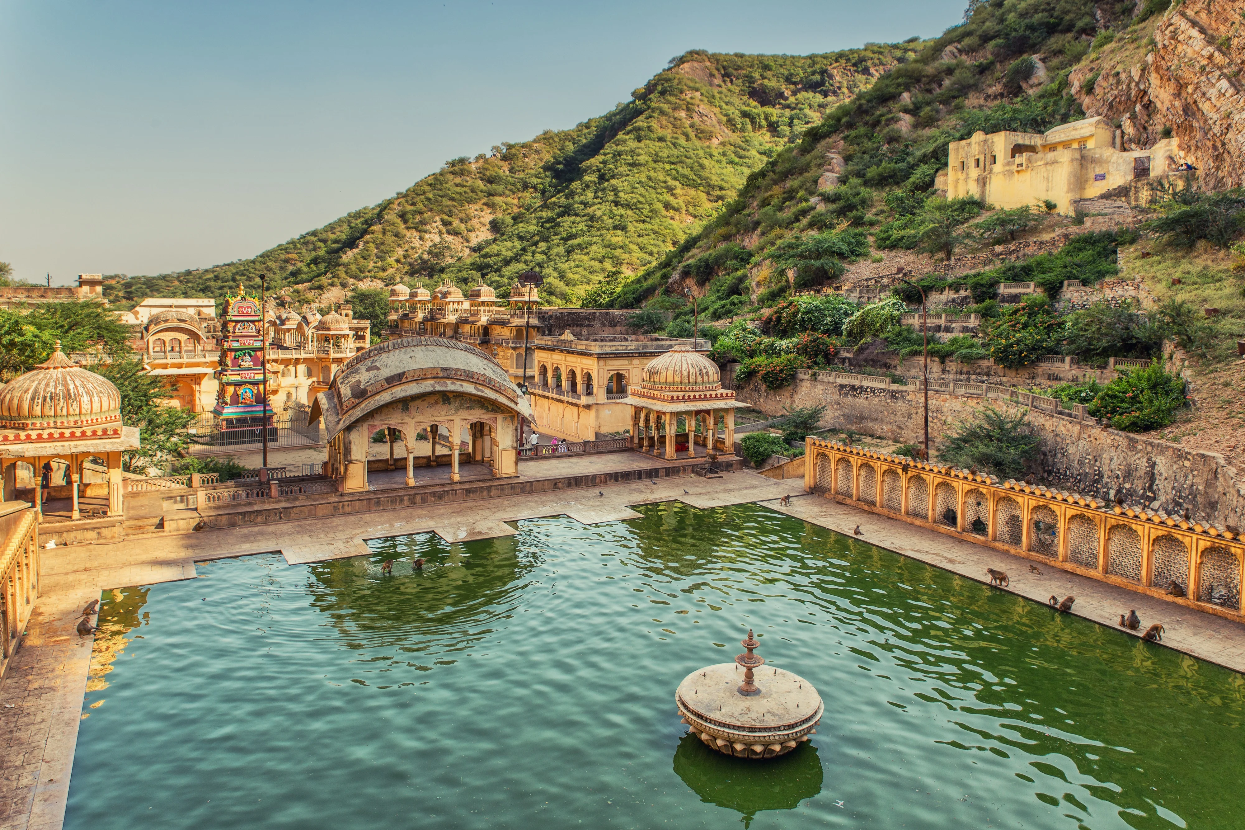 Monkey Temple Tank Jaipur